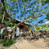ตลาดฉำฉา : กาดชุมชนโหล่งฮิมคาว สันกำแพง เชียงใหม่