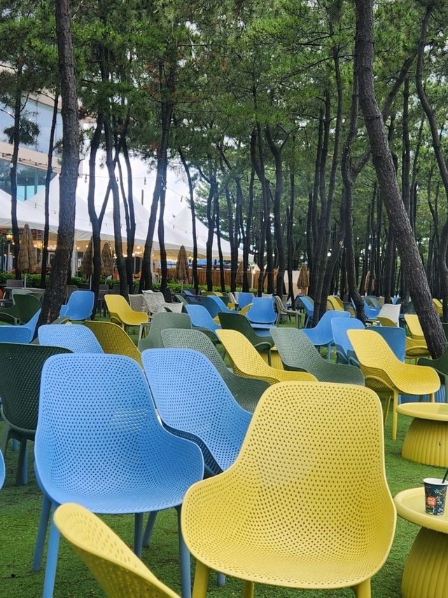 🧭🏕속초카페거리 고성 바다뷰 카페 '바다정원'
