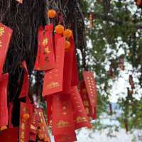 Foshan 