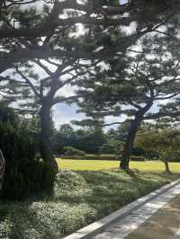 날 좋은 날 왕릉 산책 어때요👑⛰️🚶‍♀️