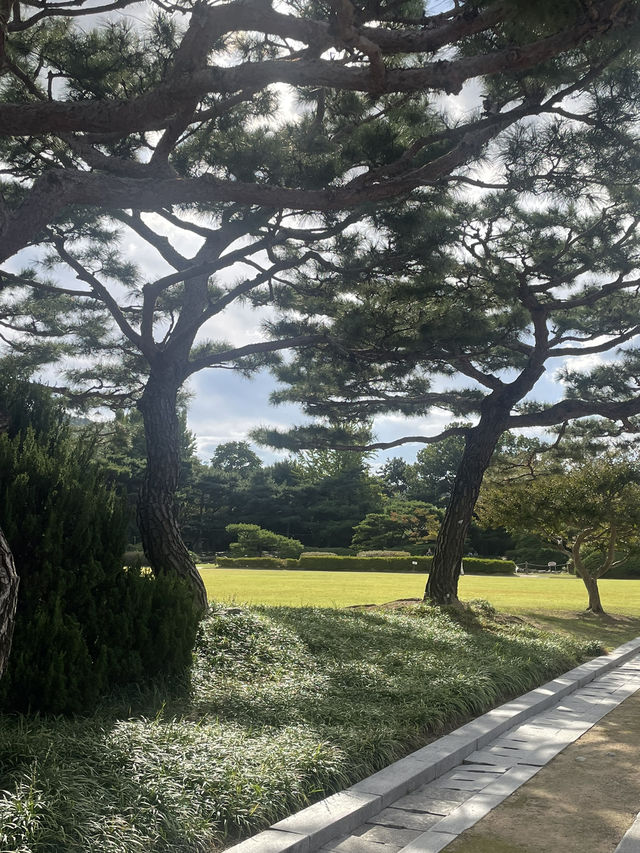 날 좋은 날 왕릉 산책 어때요👑⛰️🚶‍♀️