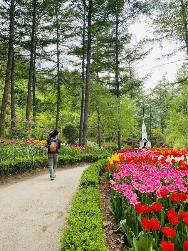 The garden of morning calm is beautiful all year around