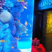 Sea Life Bangkok Ocean World