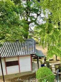 【東京都】品川で眺めが最高の場所