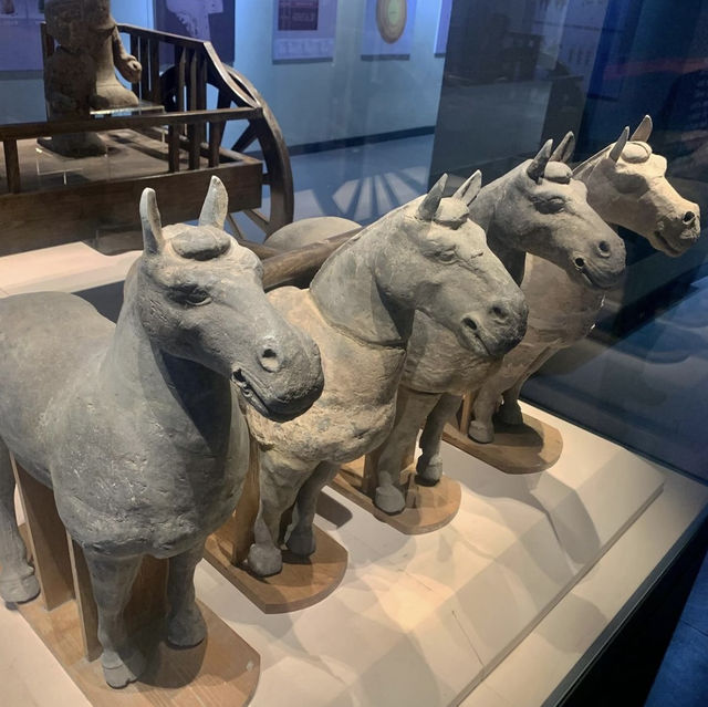 Xuzhou Han Dynasty Terracotta Warriors and Horses