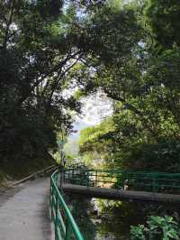 輕鬆行 小夏威夷徑