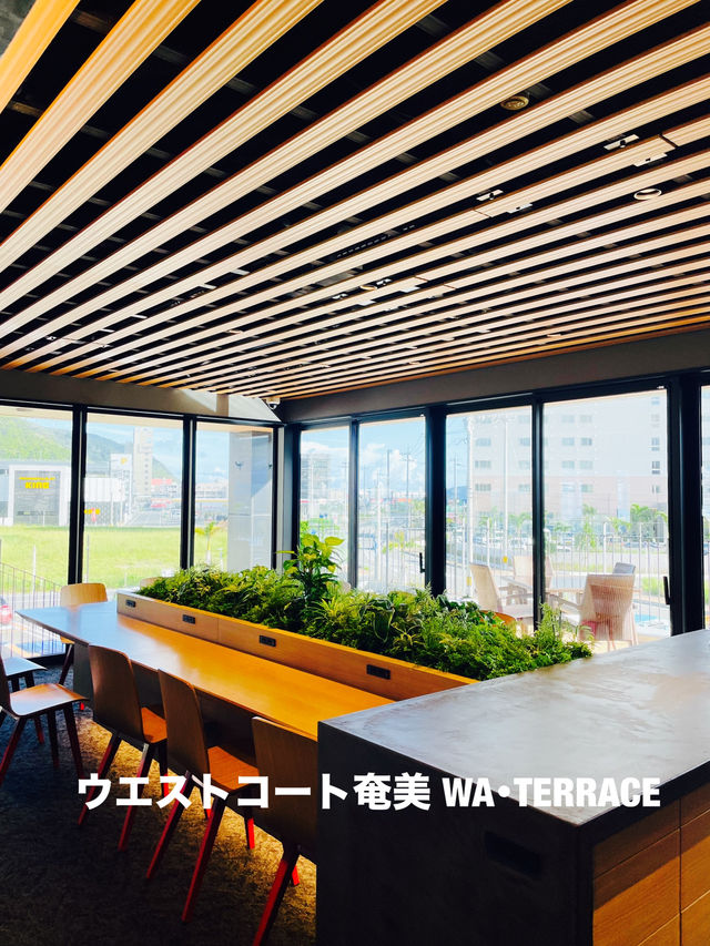 【奄美大島】2023年10月オープンの滞在型観光におすすめホテル！！