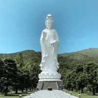 Tsz Shan Monastery 🙏🏻