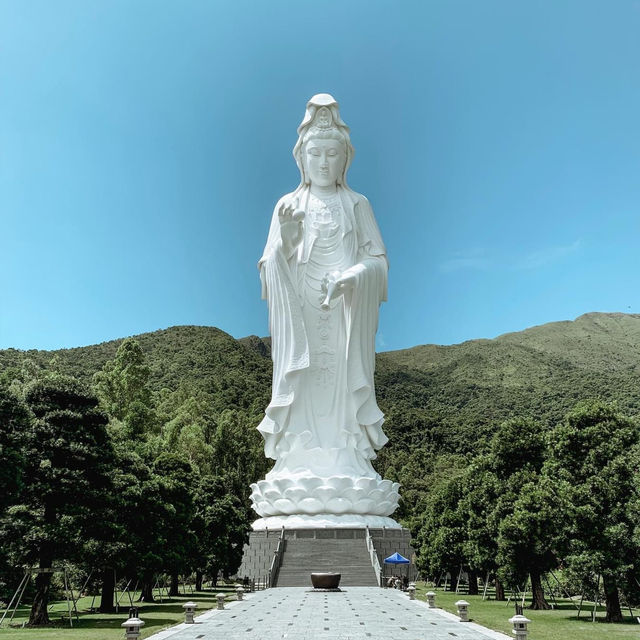 Tsz Shan Monastery 🙏🏻