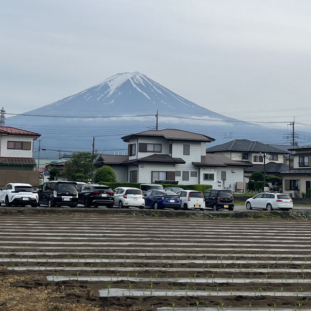 A Lucky Encounter with Mount Fuji at Lake Kawaguchi