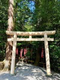 【埼玉県】失せ物が戻るご利益ある神社