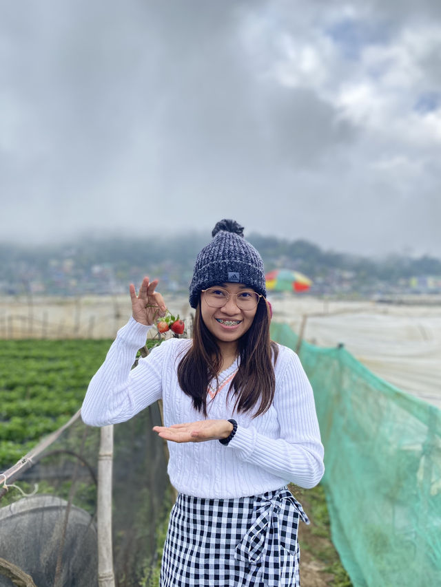 Strawberry Farm, Benguet ✨