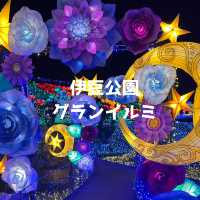 【静岡】伊豆最大級のイルミネーション🌙