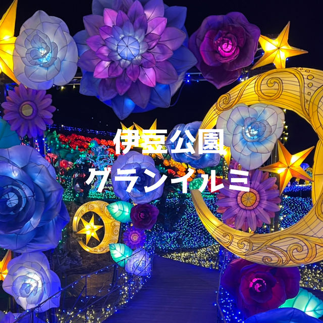 【静岡】伊豆最大級のイルミネーション🌙