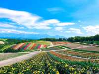 【北海道】絶景✨美しすぎてうっとり！花の絨毯💐