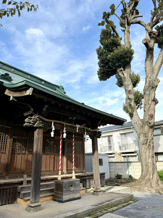 【東京都】石神井の地名が由来