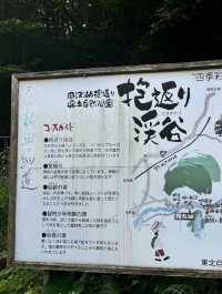 日本🇯🇵自然之美🥰抱返溪谷‼️東京出發短線3日2夜之選
