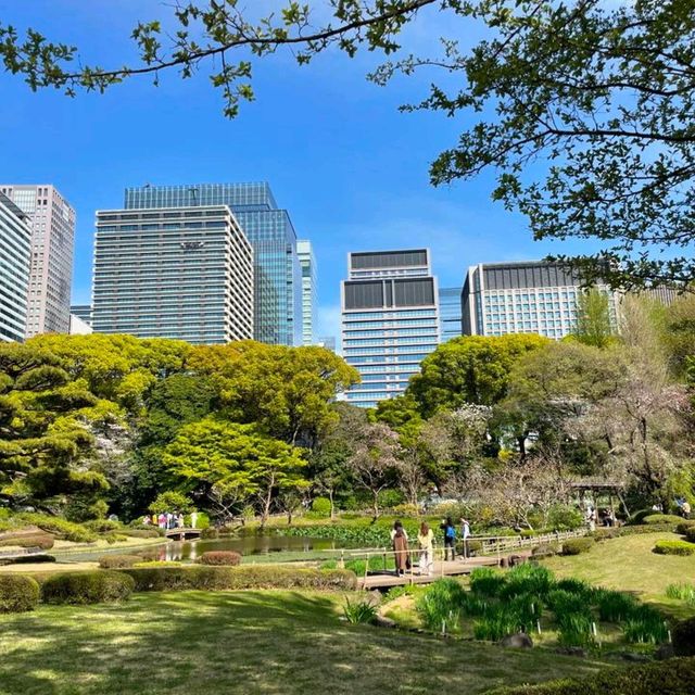 Very impressive garden & a must visit spot in Tokyo.