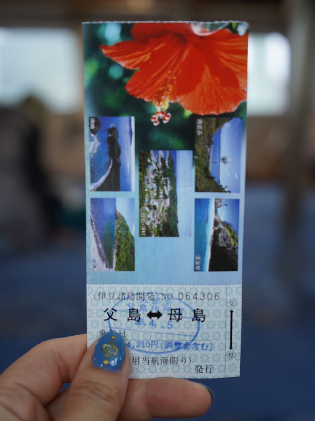小笠原諸島｜フェリー2時間30分、母島1day trip🚢