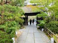 松島　円通院