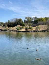 《熊本水前寺成趣園》：尋找寧靜與自然之美的心靈之旅