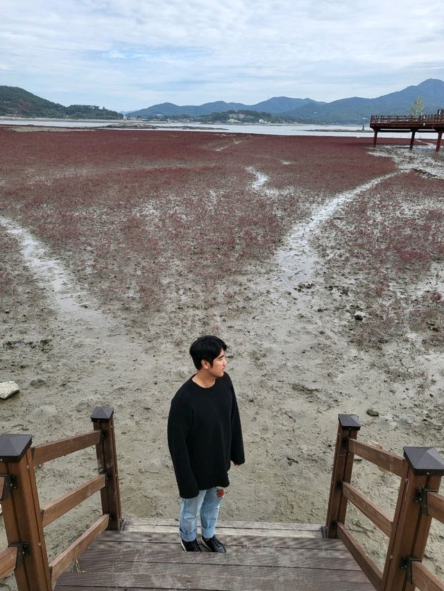 칠면초 가득핀 가을 강화도의 이색 여행지