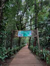 เที่ยวน้ำตก เล่นzipline ที่ลาวใต้