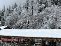 ชวนแฟนไปเล่นหิมะสุดฟินที่ ต๋ากู่ปิง , เฉิงตู ❄️☃️