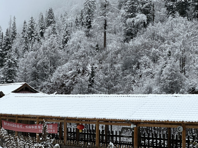 ชวนแฟนไปเล่นหิมะสุดฟินที่ ต๋ากู่ปิง , เฉิงตู ❄️☃️