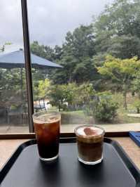 애견동반도 가능한 숲뷰 카페 🌳