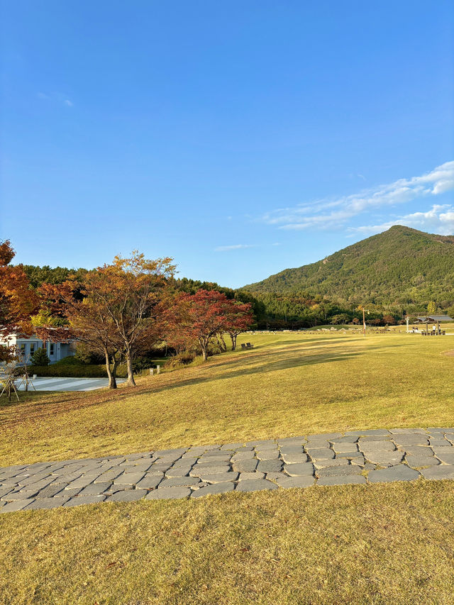 가을부터 시작되어 자연을 느끼며 전시 관람하기 좋은 곳🌳
