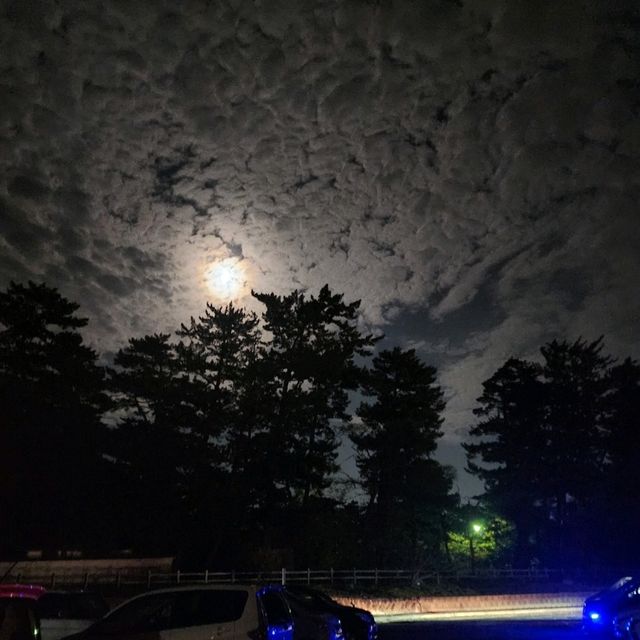 【出雲大社】神在月に訪れたい島根旅行は出雲大社へ