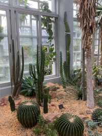 深圳一日遊行程推介💝仙湖植物園❗️網紅必去打卡點