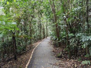 Discover the Enchanting Beauty of Dorrigo National Park