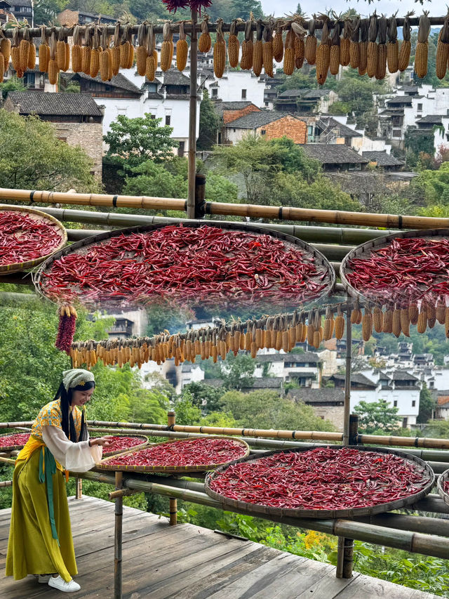 Harvest Colours and Timeless Traditions: Our Journey to Huangling Village