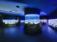 Cebu Ocean Park: An Underwater Wonderland