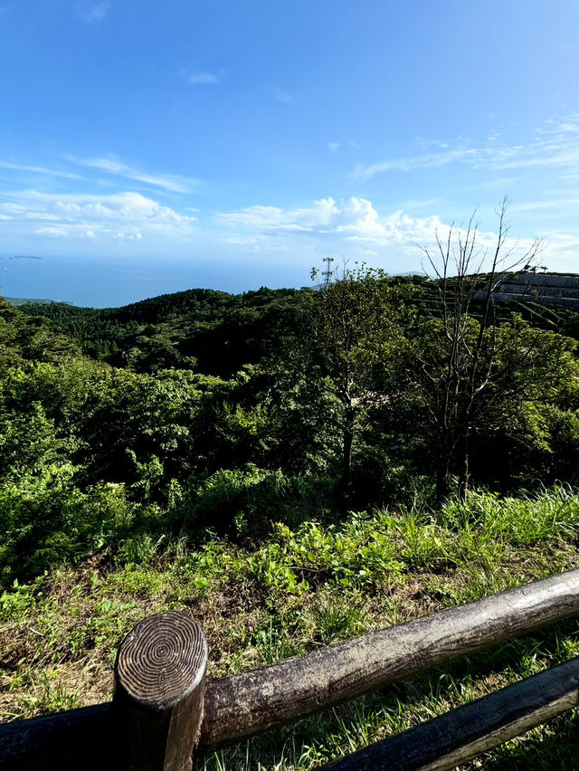【山口旅行】大平山ロープウェイ