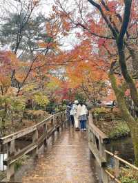 【湯布院】湯布院といえばココ✨神秘的な湖✨