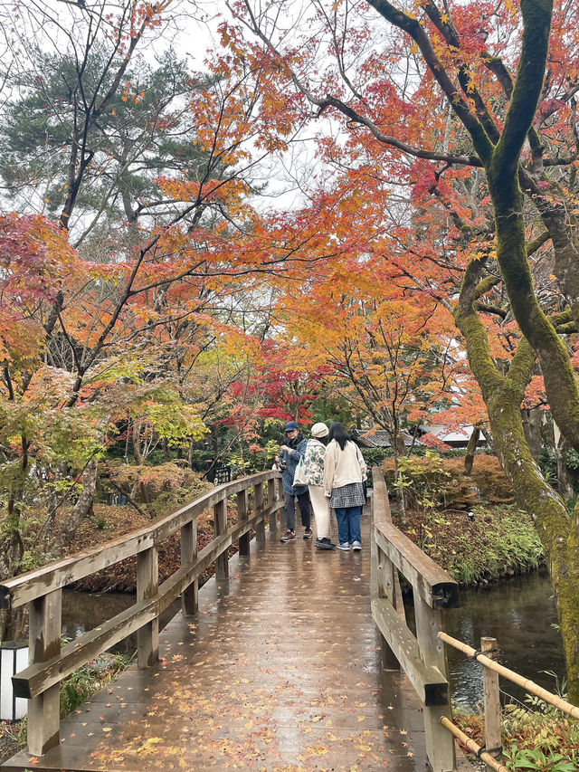 【湯布院】湯布院といえばココ✨神秘的な湖✨