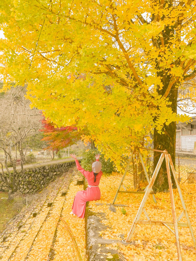 【京都】９割が知らないイチョウの穴場スポット
