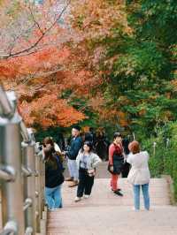 ไปชม เจดีย์แดงชูเรโตะ Chureito Pagoda กันจ้า