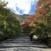 🍁 Nison-in Temple: A Peaceful Autumn Retreat in Arashiyama 🍁