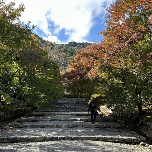 🍁 Nison-in Temple: A Peaceful Autumn Retreat in Arashiyama 🍁