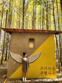 동화같은 은행나무마을이 있는 경주💛