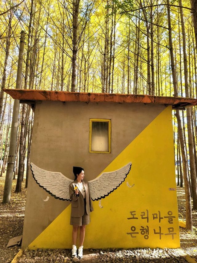 동화같은 은행나무마을이 있는 경주💛
