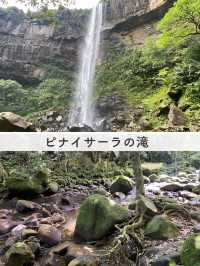 【西表島】楽しいアクティビティを紹介✨