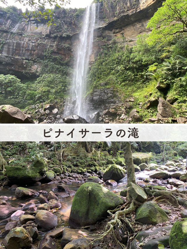 【西表島】楽しいアクティビティを紹介✨