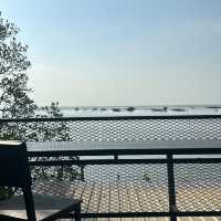 โกงกางคาเฟ่ @เกาะยอ สงขลา
