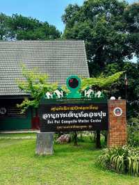 Doi Suthep National Park: big journey