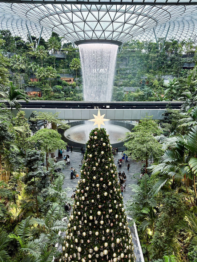 ✈️新加坡世界最高的室內瀑布國際機場🤎